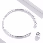 Ezüst karperec, nyitott