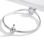 Strieborné kúzlo, gitara