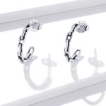 Strieborné náušnice, retiazka