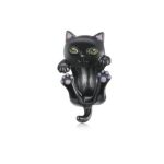 Strieborné kúzlo, čierna mačka