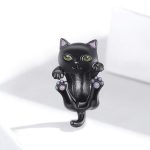 Strieborné kúzlo, čierna mačka