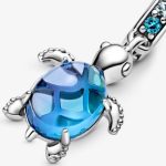 Strieborné kúzlo, korytnačka