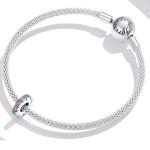 Strieborné kúzlo, dúha