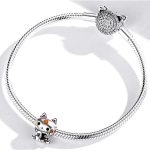 Strieborné kúzlo, mačiatko