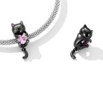 Strieborné kúzlo, čierna mačka