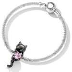 Strieborné kúzlo, čierna mačka