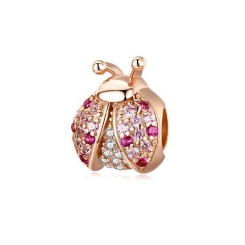 Strieborné kúzlo, lienka