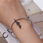 Strieborné kúzlo, červená ruža