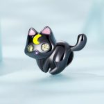 Strieborné kúzlo, čierna mačka