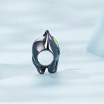 Strieborné kúzlo, čierna mačka