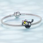 Strieborné kúzlo, čierna mačka