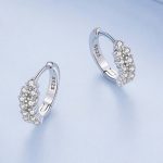 Strieborné náušnice s bielym kryštálom