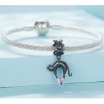 Strieborné kúzlo, čierna mačka