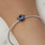 Strieborné kúzlo, modrá ruža