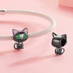 Strieborné kúzlo, čierna mačka