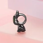 Strieborné kúzlo, čierna mačka