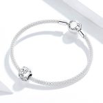 Strieborné kúzlo, hviezdna obloha