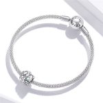 Strieborné kúzlo, had