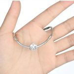 Strieborné kúzlo chalúpky