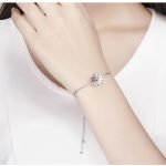 Strieborný náhrdelník s margarétkou a lienkou