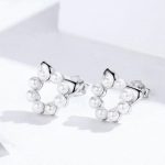 Strieborné náušničky, mačička