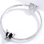 Strieborné kúzlo, čivava