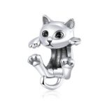 Strieborné kúzlo pre mačky