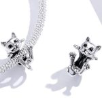 Strieborné kúzlo pre mačky