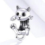 Strieborné kúzlo pre mačky