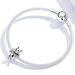 Strieborné kúzlo pre mačky