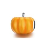 Strieborné kúzlo, tekvica