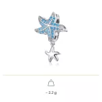 Ezüst charm, tengeri csillag