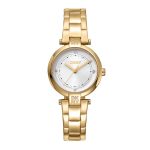 DK1L043M0055 női karóra