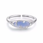 Ezüstgyűrű, csillagos égbolt