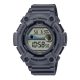Pánske hodinky Casio WS-1300H-8AVEF